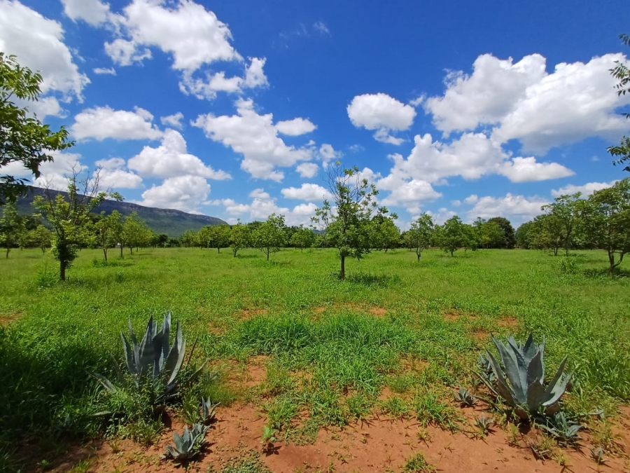 9 Bedroom Property for Sale in Scheerpoort A H North West